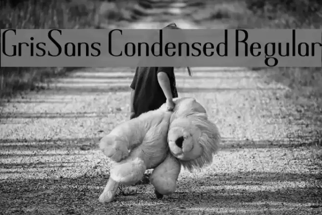 GrisSans Condensed Regular Schriftart examples