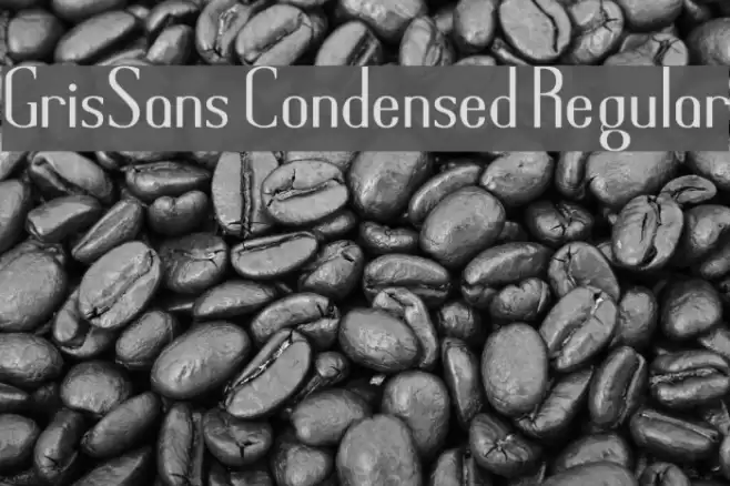 GrisSans Condensed Regular Schriftart examples