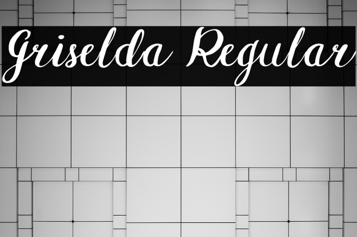 Griselda Regular Example 2