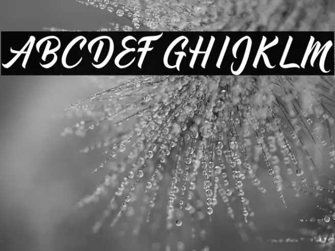 Griseldya Font examples