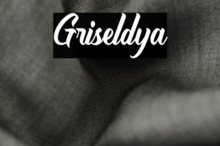 Griseldya Example 2