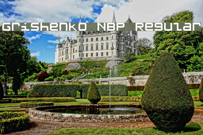 Grishenko NBP Regular Шрифта examples