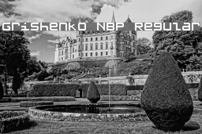 Grishenko NBP Regular Шрифта examples