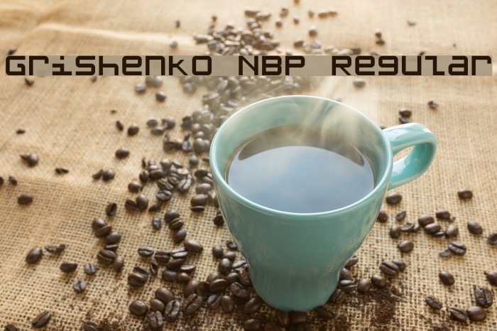 Grishenko NBP Regular Шрифта examples