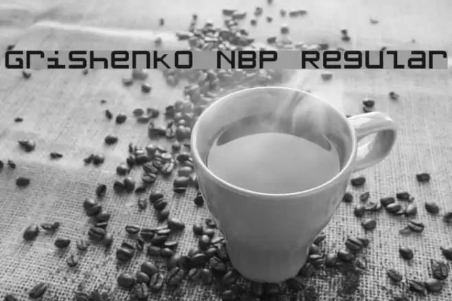 Grishenko NBP Regular Шрифта examples