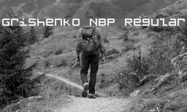 Grishenko NBP Regular Шрифта examples
