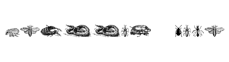 Grissom Four  Frei Schriftart Herunterladen