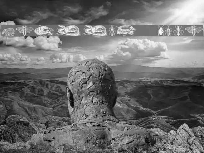 Grissom Four Font examples