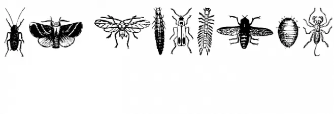 Grissom Free Font OTHER CHARS