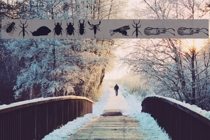 Grissom Free Font examples