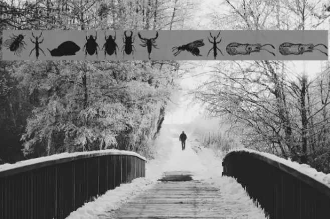 Grissom Free Font examples