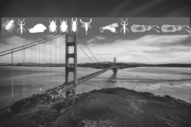 Grissom Free Font examples