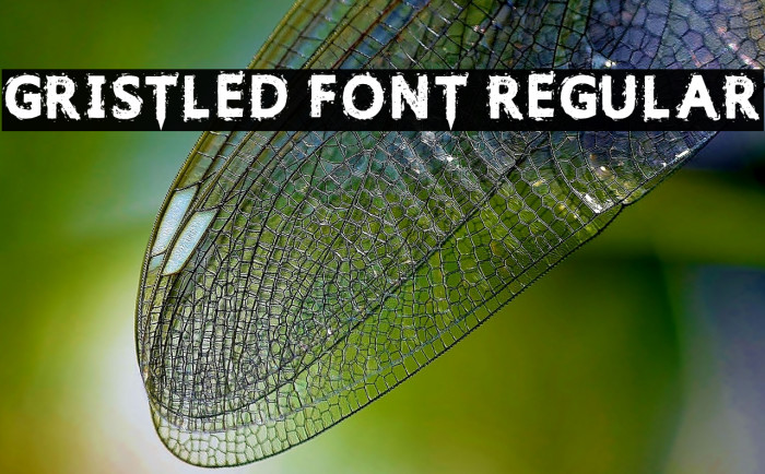 Gristled Font Regular Font examples