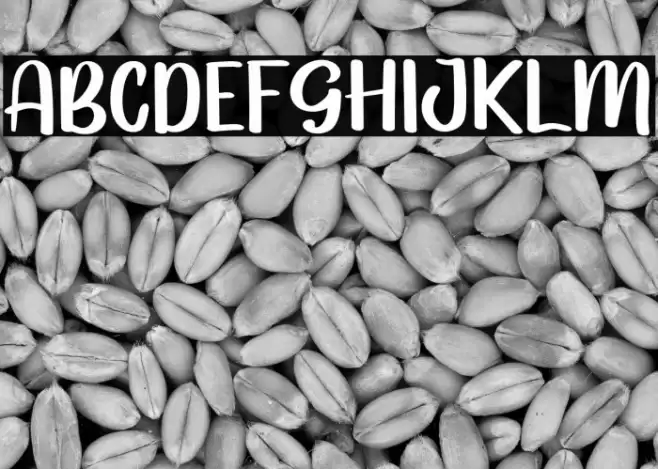 Grithani Font examples