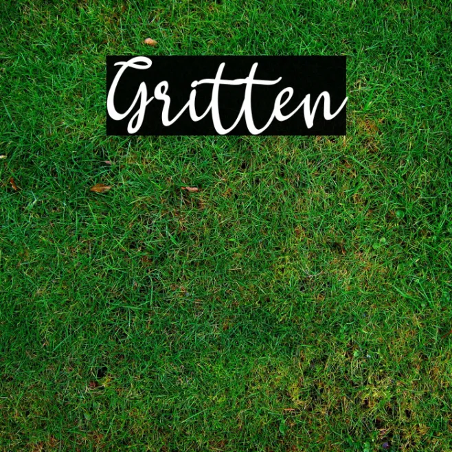 Gritten Example 1