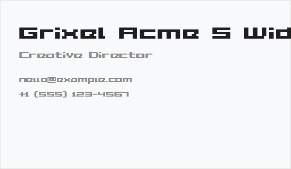 Grixel Acme 5 Wide Bold Business Card