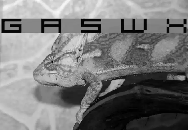 Grixel Acme 5 Wide Xtnd Font examples