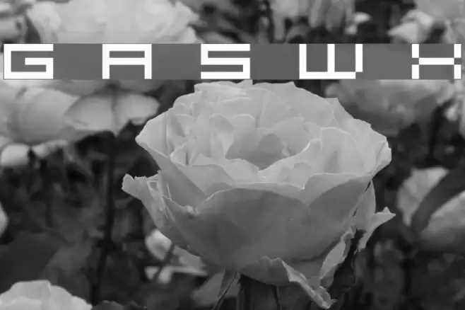 Grixel Acme 5 Wide Xtnd Font examples