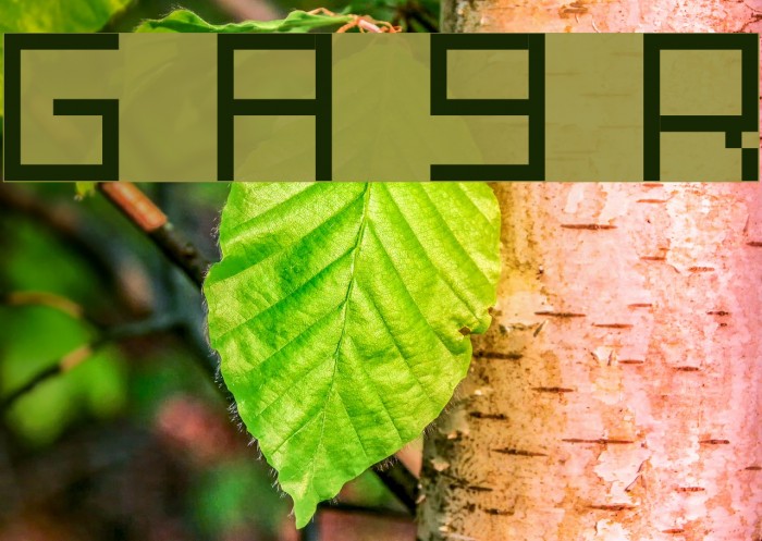 Grixel Acme 9 Regular Font examples