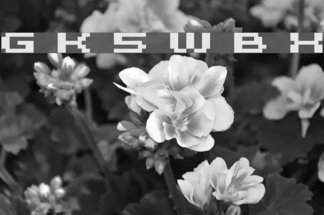 Grixel Kyrou 5 Wide Bold Xtnd Font examples