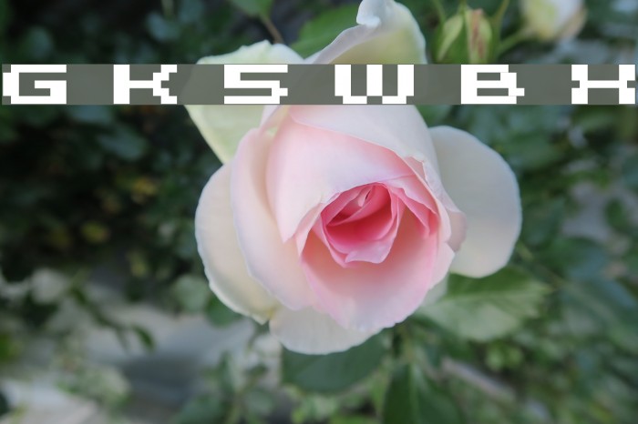 Grixel Kyrou 5 Wide Bold Xtnd Font examples