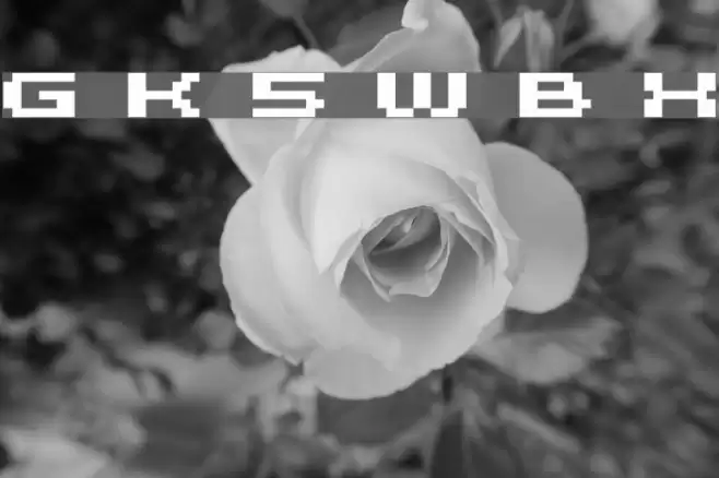 Grixel Kyrou 5 Wide Bold Xtnd Font examples