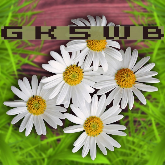 Grixel Kyrou 5 Wide Bold फ़ॉन्ट examples