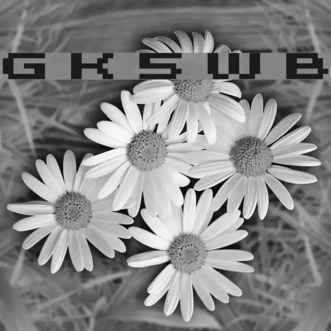 Grixel Kyrou 5 Wide Bold Font examples