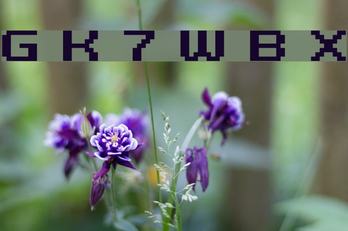 Grixel Kyrou 7 Wide Bold Xtnd Font examples