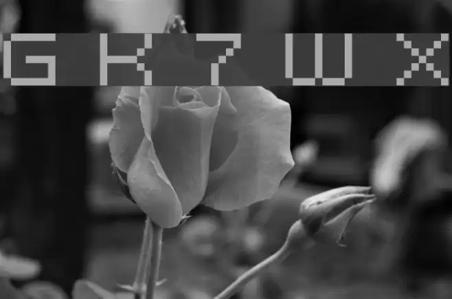 Grixel Kyrou 7 Wide Xtnd フォント examples