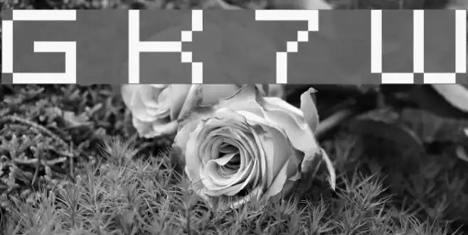 Grixel Kyrou 7 Wide フォント examples