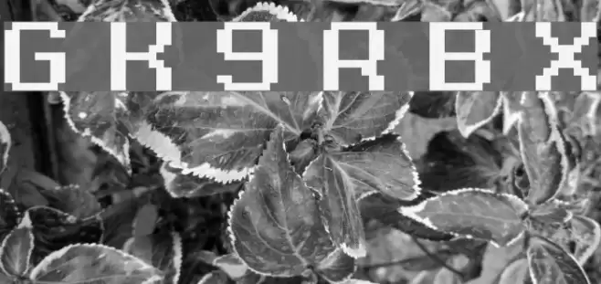 Grixel Kyrou 9 Regular Bold Xtnd フォント examples