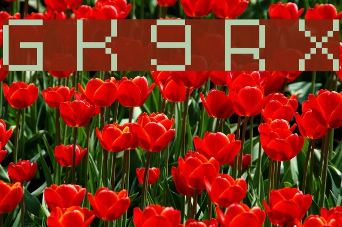 Grixel Kyrou 9 Regular Xtnd Font examples