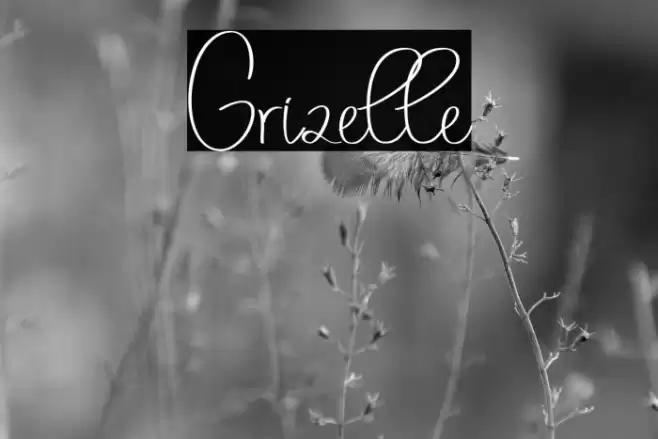 Grizelle Font examples
