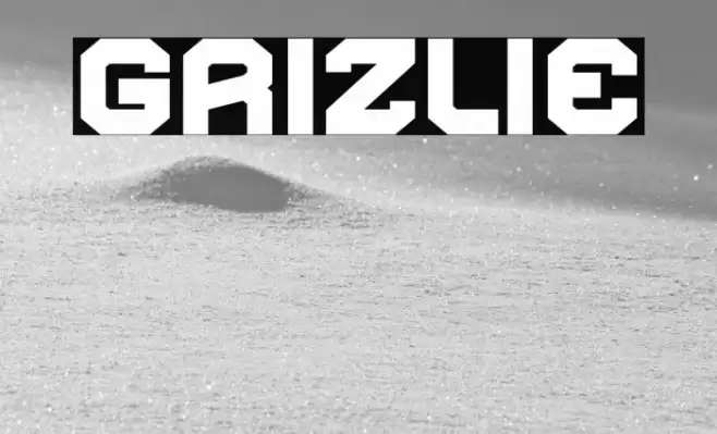 Grizlie Font examples