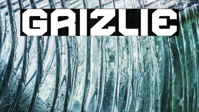 Grizlie Example 2