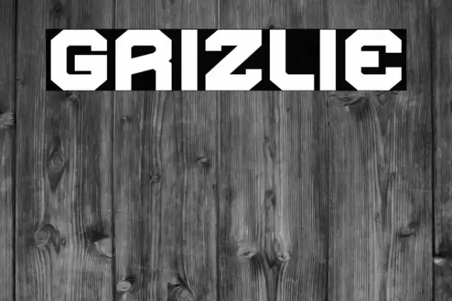Grizlie Font examples