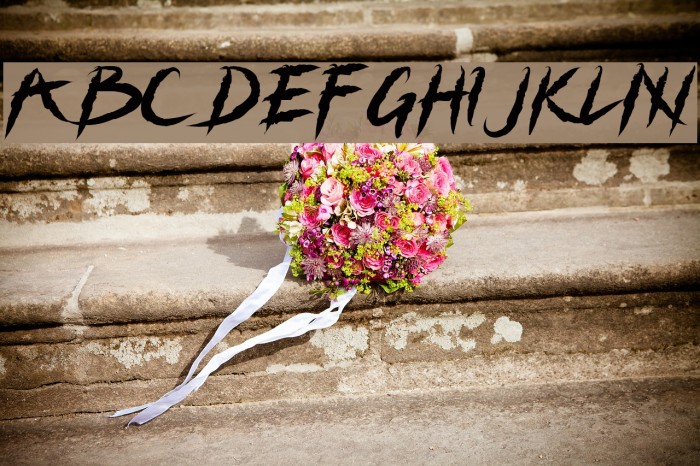 Grizzly Attack Example 2