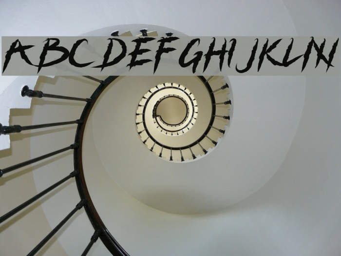 Grizzly Attack Example 3