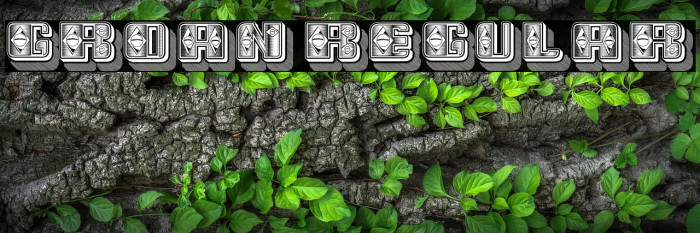 Groan Regular Example 1