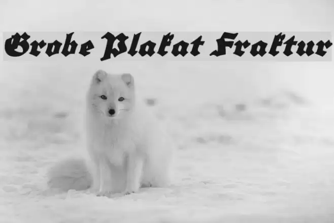 Grobe Plakat Fraktur Font examples