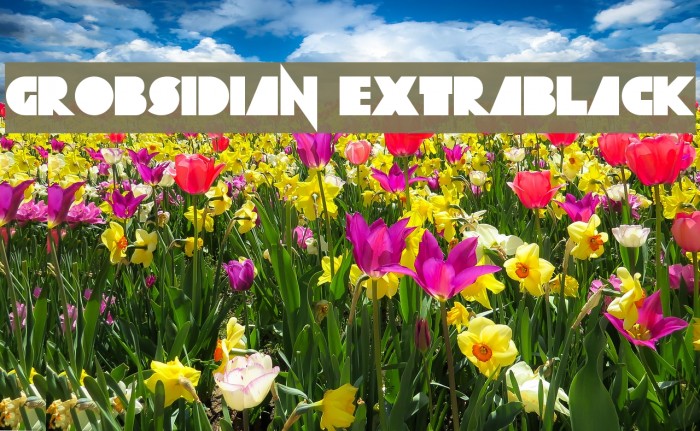 Grobsidian ExtraBlack Font examples