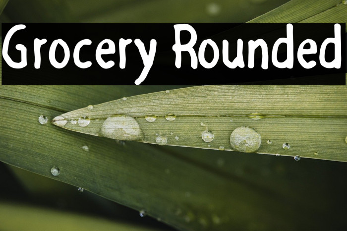 Grocery Rounded Example 1
