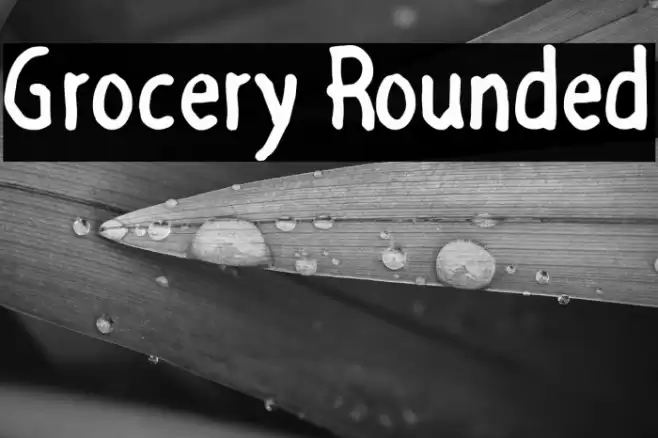 Grocery Rounded Font examples