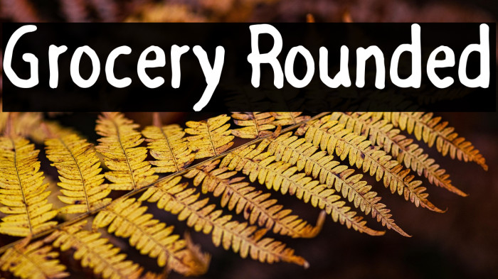 Grocery Rounded Example 2