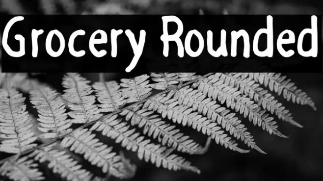 Grocery Rounded Font examples