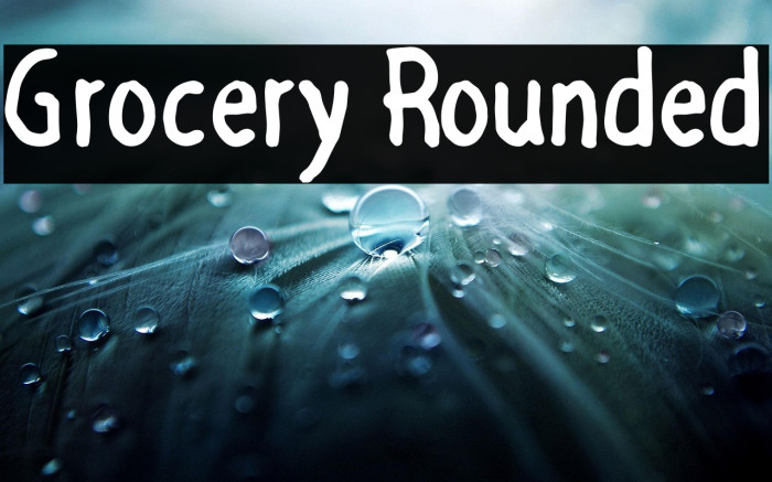 Grocery Rounded Example 3