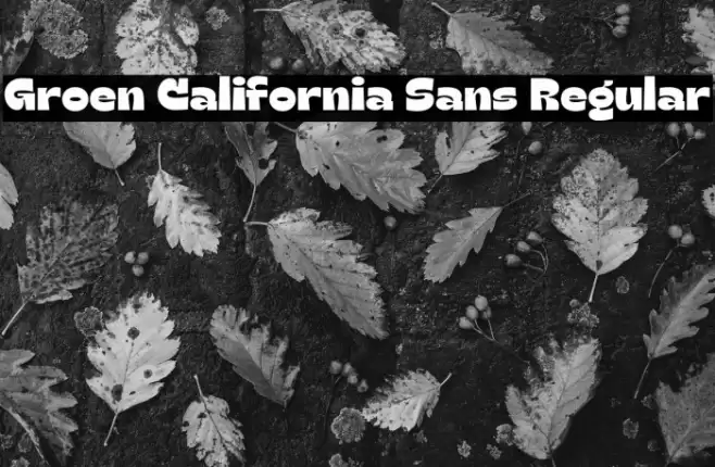 Groen California Sans Regular Font examples