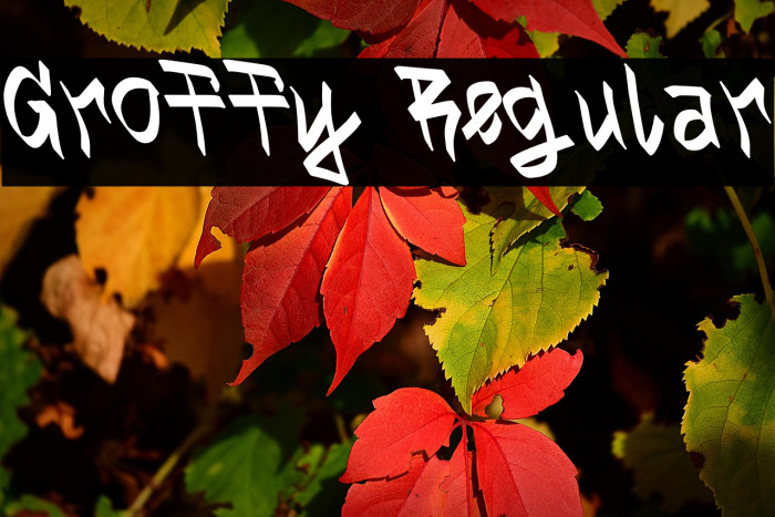 Groffy Regular Example 2