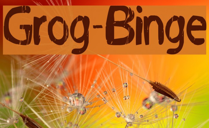 Grog-Binge Font examples